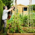 thumbnail image 2 of Horticultural Assistance Tying Lizard Branches Organizing Ties Vegetation Decoration, 2 of 9