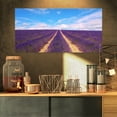 thumbnail image 1 of Blooming Lavender Flower Field - Oversized Landscape Wall Art Print, 1 of 3