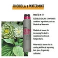 thumbnail image 5 of KMS ThermaShape 2-in-1 Spray - Size : 6 oz, 5 of 7