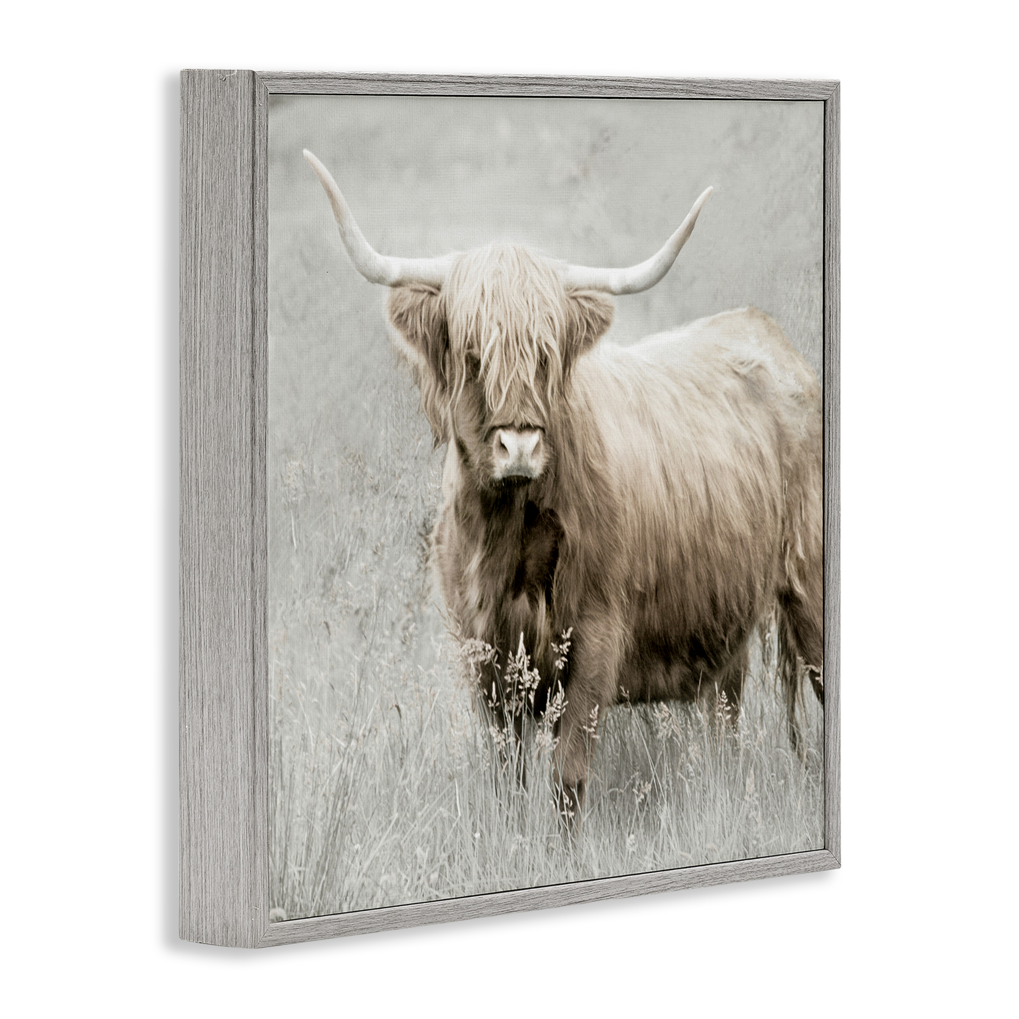 Stupell Industries Subtle Longhorn Cattle Animals & Insects Painting Gray Framed Art Print Wall Art, 12 x 12