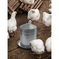 thumbnail image 5 of Poultry Water Heater - 30w Heated Pad, Winter Water Heated Pad, Suitable For Most Metal Buckets, 5 of 5