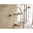 thumbnail image 2 of Delta 51308-PN Universal Showering Components H2Okinetic 3-Setting Slide Bar Hand Shower - Polished Nickel, 2 of 5