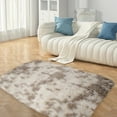 thumbnail image 4 of YOUMAI Area Rugs For Living Room Small Carpet For Bedroom Bedside Washable Soft Shag Aesthetic Plush High Pile Throw Rug For Room Children Room Dorm Room, 4 of 5