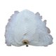thumbnail image 1 of Gorro de natación de flores Gorro de natación Vacaciones Ligero Cómodo Gorro de protección de orejas de pelo largo, Gorros de baño para deportes, 1 of 9