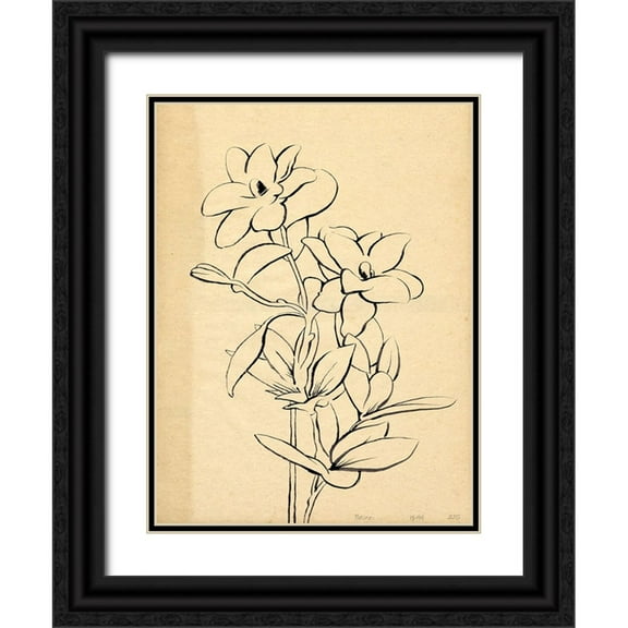 Green, Jacob 12x14 Black Ornate Wood Framed with Double Matting Museum Art Print Titled - Magnolia Sketch I
