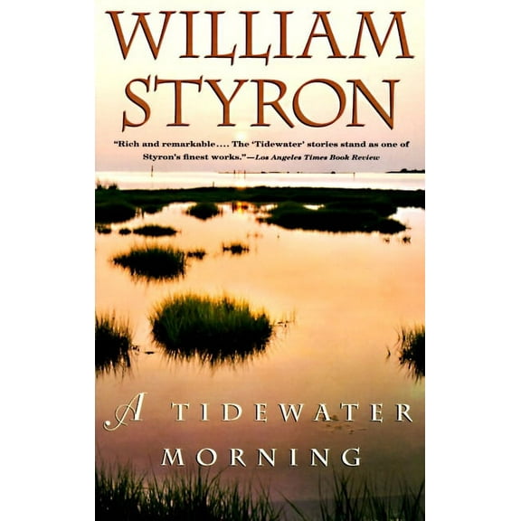 Vintage International A Tidewater Morning, (Paperback)