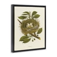 thumbnail image 3 of Stupell Industries Cottage Birdnest with Spotted Eggs Black Floating Frame Canvas Art, 17 x 21, by Tina Higgins Designs Inc., 3 of 8