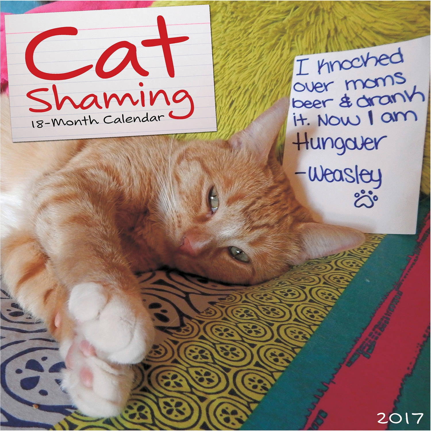 2018 Cat Shaming Wall Calendar Com