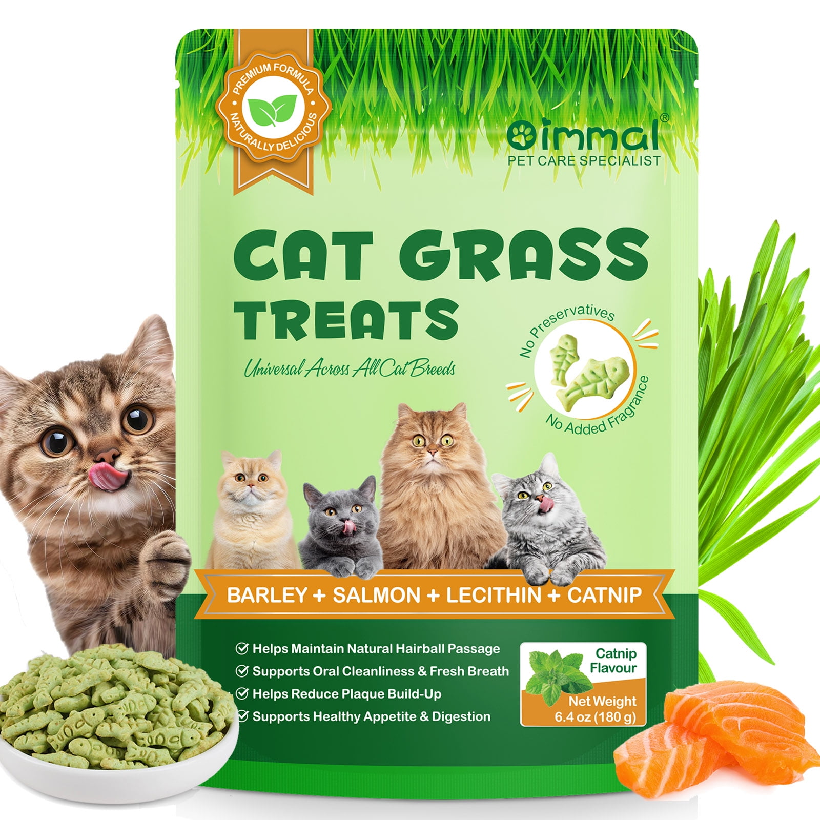 Oimmal Cat Grass Treats for Indoor Cats, Hairball Control & Dental Care, Crunchy Catnip Flavor Treats with Natural Salmon, Helps Reduce Hairballs & Freshen Breath, Supports Digestion, 6.4oz