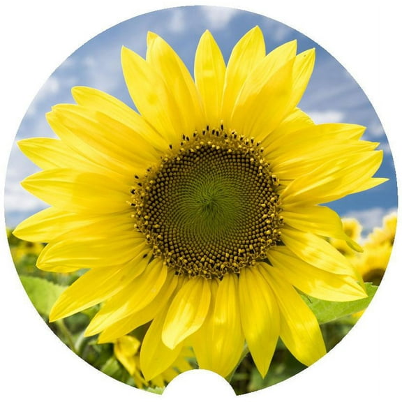 Sunflower Car Coaster, Absorbent Stoneware Car Cup Holder Coaster, Set of 2