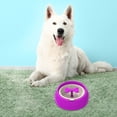 thumbnail image 5 of SPRING PARK Non Slip Pet Dog Puppy Slow Down Eating Feeding Bowl Rotating Bone Design Anti Choke Dish Food Feeder, 5 of 7