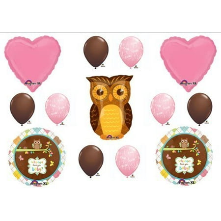 Baby Girl Owl  Look Whooo Shower balloons Decorations  