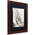 thumbnail image 2 of Trademark Fine Art "Florison 22" Canvas Art by Alan Blaustein, Black Matte, Wood Frame, 2 of 4