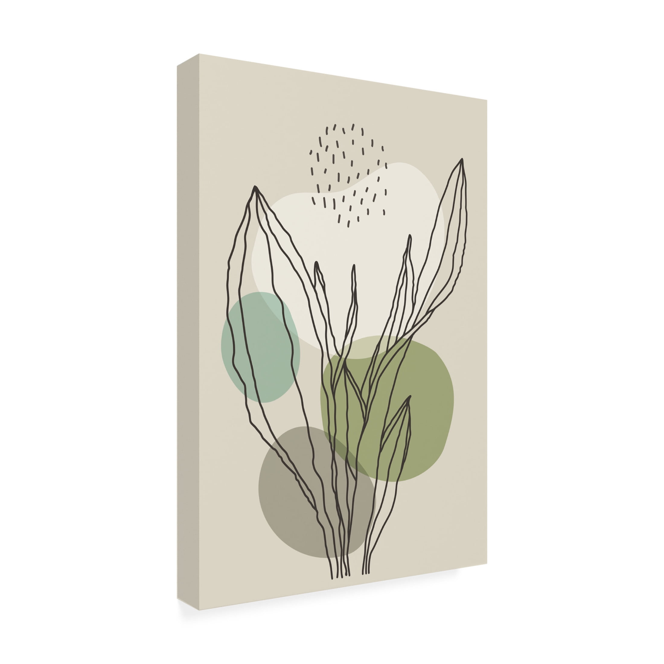 Trademark Fine Art jay stanley Color Abstract Plants 3 Canvas Wall Art
