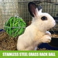 thumbnail image 4 of Hovmgk Hanging Grass Rack for Small Animals, Electroplated Stainless Steel Feeder for Guinea Pigs, Rabbits, Chinchillas, Large Capacity Grass Holder, Space-Saving Design for Pet Cages, 4 of 9