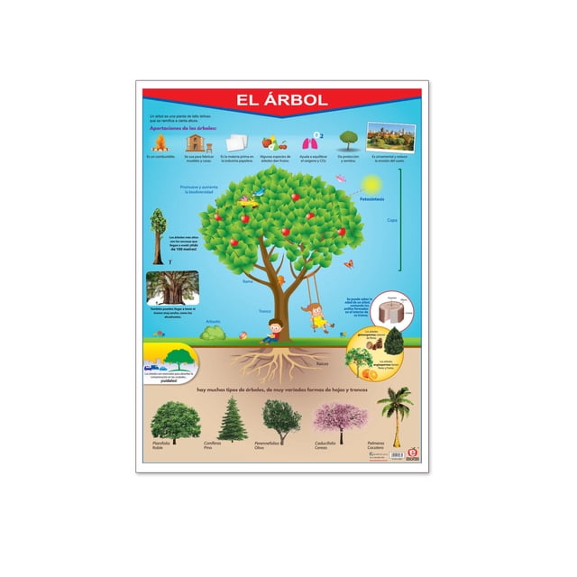 Póster El Árbol Educatodo B-0125-I