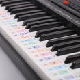 thumbnail image 4 of Colorful Detachable Music Decal Notes Piano Keyboard Stickers 61 Or 88-Key Electronic Piano Piano Spectrum Sticker Symbol, 4 of 8