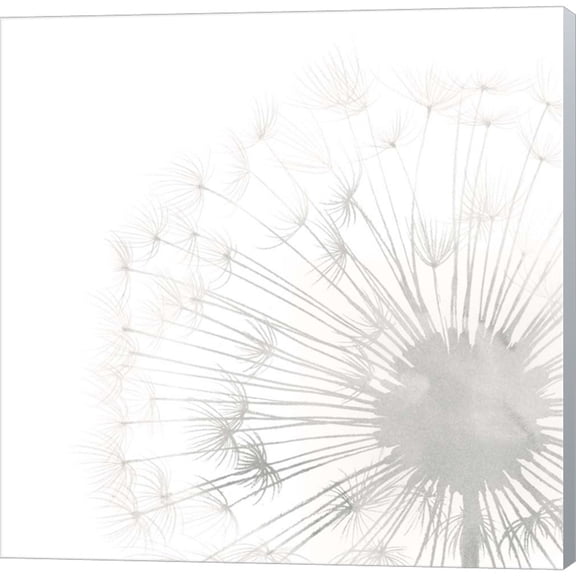 Great Art Now Dandelion Whisper II by Grace Popp, Canvas Wall Art, 12W x 12H