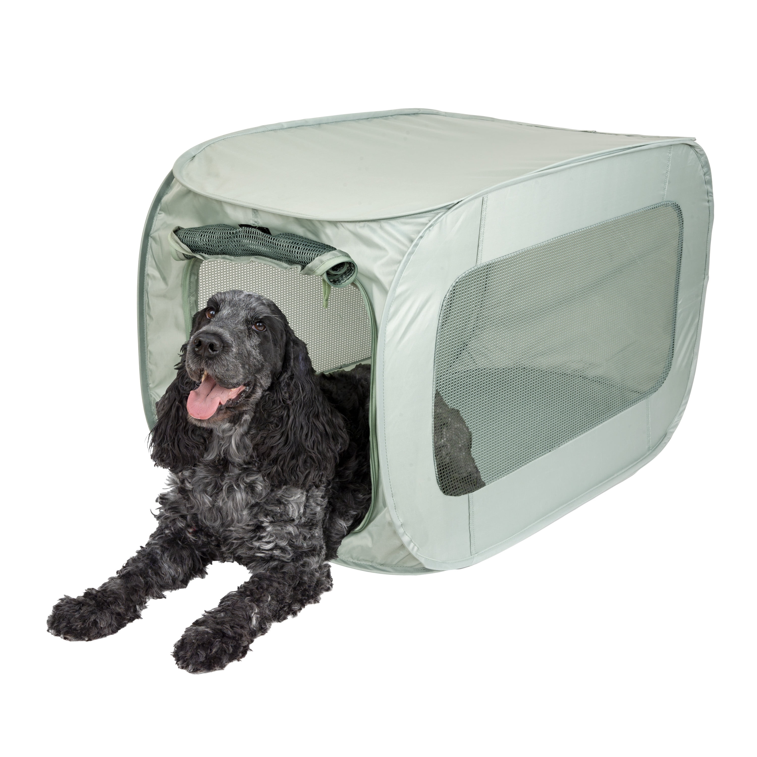 SportPet Designs Pop-Open Soft-Sided Kennel for Pets, Light Green