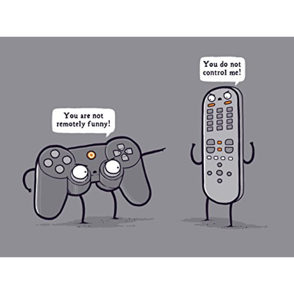 "Controlling" Funny Video Game Controller & TV Remote Arguing 24x18