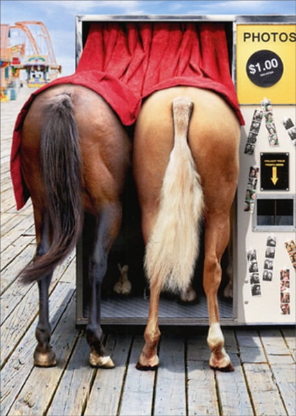 Avanti Press Horses In Photo Booth Funny Birthday Card
