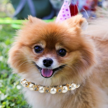 HORIALENCE Dog Necklace Jewelry 1Pcs Black Rhinestone and Imitation Pearl Collar