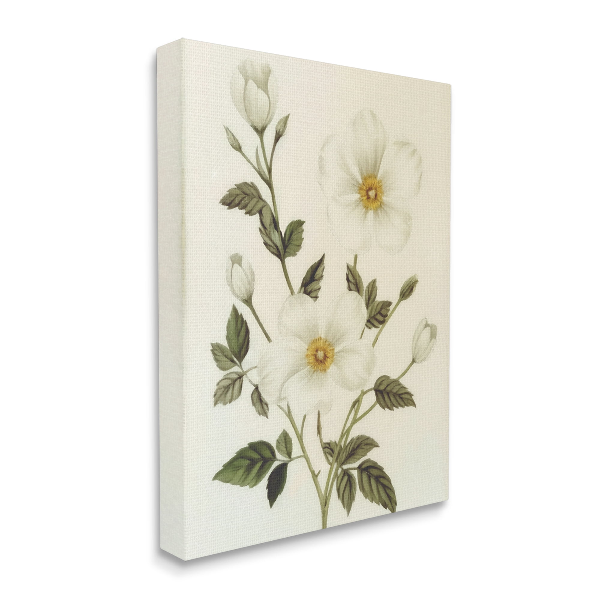 Stupell Industries Vintage Apple Blossoms Botanical & Floral Painting Gallery Wrapped Canvas Art Print Wall Art, 24 x 30
