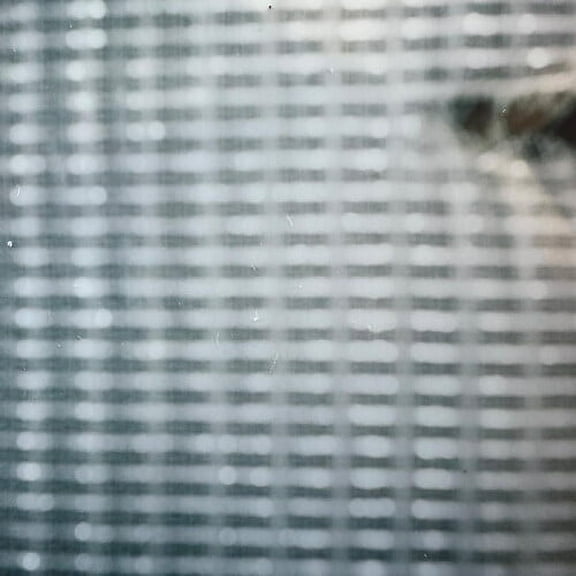 Wild Pink - Strawberry Eraser - Music & Performance - Vinyl [7-Inch]