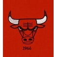 thumbnail image 3 of Chicago Basketball Bull's LARGE 22x14 Wall Hanging Logo Heritage Banner featuring logos from 1966, 1970, 1984 & 1985, 3 of 7