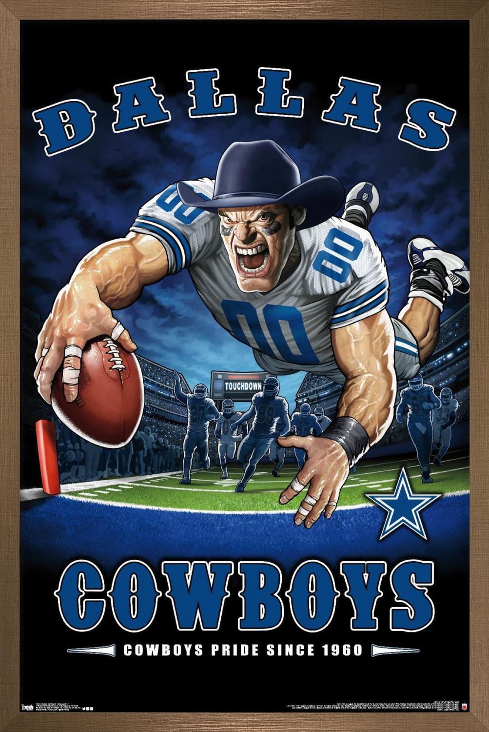 NFL Dallas Cowboys - End Zone 17 Wall Poster