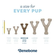 Benebone Puppy Wishbone Durable Dog Chew Toy for Gentle Chewers, Real Bacon, Medium