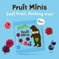 thumbnail image 3 of BEAR Real Fruit Snack Minis, Raspberry/Blueberry, No added Sugar, All Natural, Bite Sized Snacks for Kids, Non GMO, Gluten Free, Vegan, 0.7 Oz (Pack of 18), 3 of 3