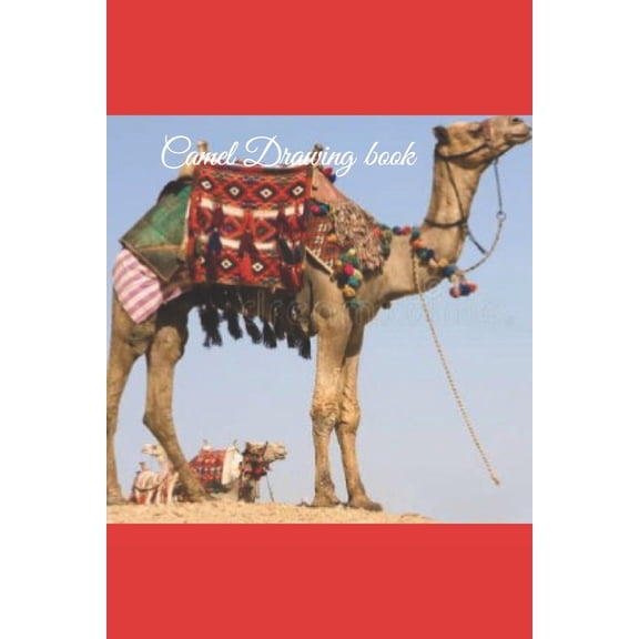 Camel Drawing book (Paperback)