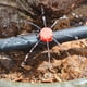 thumbnail image 4 of 100 goteros de riego ajustables, riego por goteo automático de 360°, boquillas de aspersor de emisor de jardín, para invernadero de césped de plantas, jardín de bricolaje (100 piezas) esquí esquí Gafas de esquí, 4 of 5