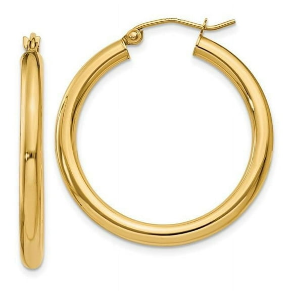 3 mm 10K Yellow Gold Polished Tube Hoop Earrings
