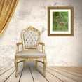 thumbnail image 3 of Pryor, Maresa 26x32 Gold Ornate Wood Framed with Double Matting Museum Art Print Titled - Corn Snake in long-leaf pine A docile non-venomous snake found throughout Florida, 3 of 4