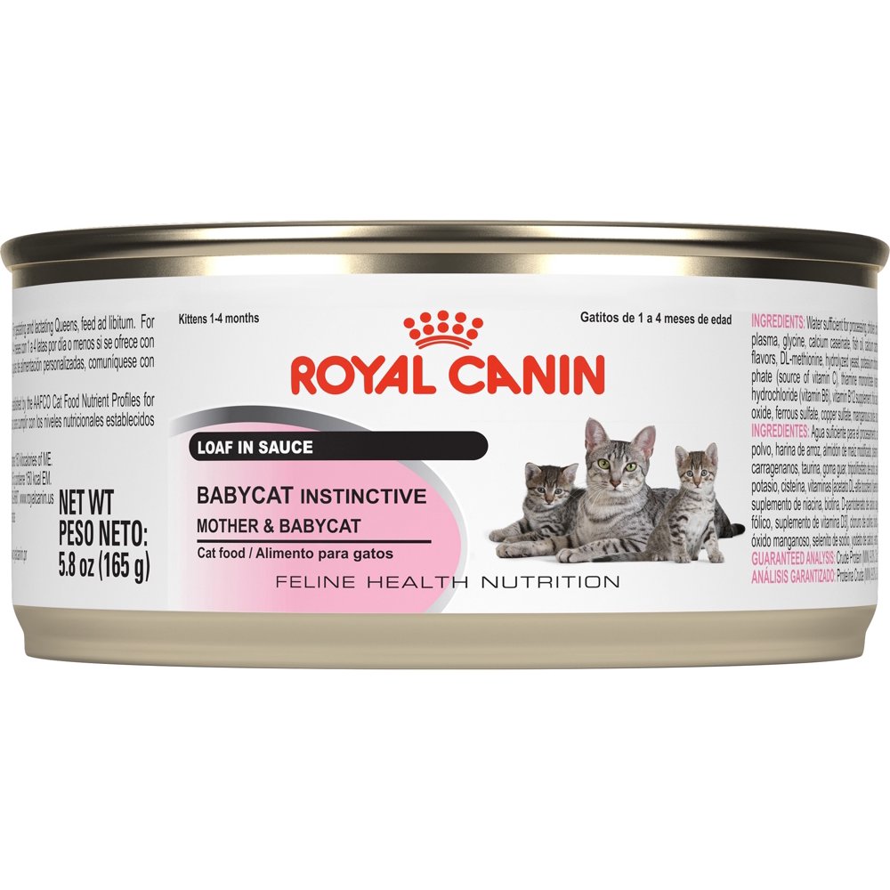 Royal Canin Babycat Instinctive Wet Cat Food, 5.8 Oz. Can (24 Pack