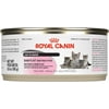 Royal Canin Babycat Instinctive Wet Cat Food, 5.8 Oz. Can (24 Pack)