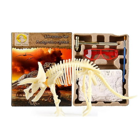 Dinosaur Digging Kits with Dinosaur Bones, Teeth, Etc. Archaeology  Paleontology Educational Science