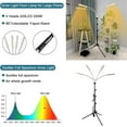 thumbnail image 6 of grow lights for indoor plants LED Grow Lights for Indoor Plants, plant light 4-Head Full Spectrum Lamp with Adjustable Tripod Stand, 6 of 6