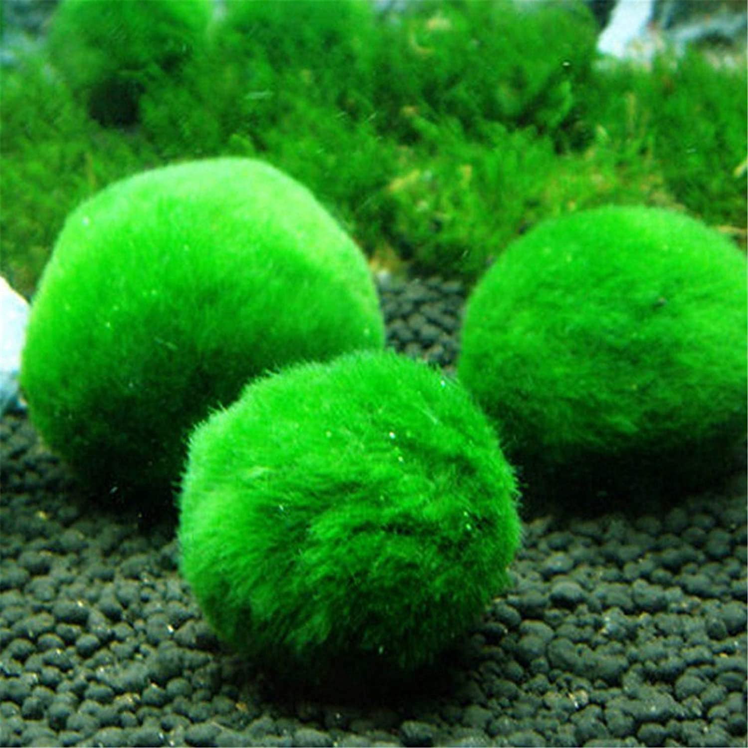 4pcs Aquarium Moss Balls, Artificial Aquarium Plants Green Moss Decorative Ball for Fish Tank Ornaments Freshwater Terrarium Moss Decoration