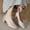 Gold, variant on Wensltd Chunky Heels Mary Jane Shoes for Women Closed Toe Work Pumps Comfortable Round Toe Dress Wedding Shoes