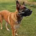 thumbnail image 2 of Dog Mouth Mask, Anti Bite, Barking, And Indiscriminate Eating. Medium To Large Dog Mask, Golden Fur Anti Barking Device, Pet Dog, 2 of 7