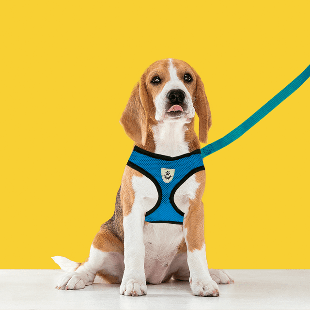 Arnés Tipo Pechera Seguridad Ajustable Para Perros Grandes