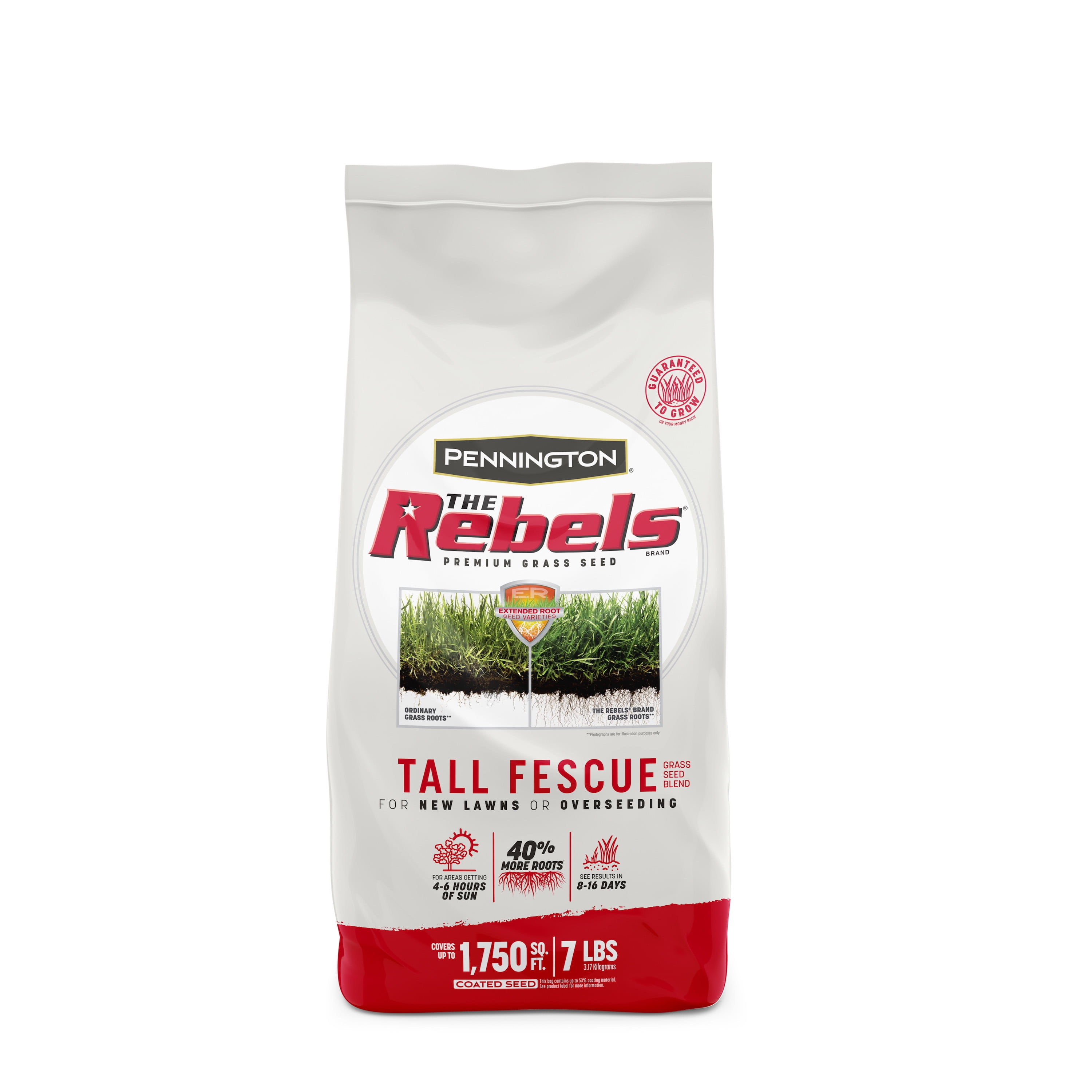 Pennington Rebels Tall Fescue Grass Seed, for Sun to Partial Shade, 7 lb.