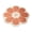 Flower Shaped Rug Under $5 a3, variant on Aaihamo Flower Shaped Rug, Non Slip Flower Shaped Coil Shower Mat, Cute Round Washable Floral Cutout Bath Rug for Shower, Bathtub, Bathroom