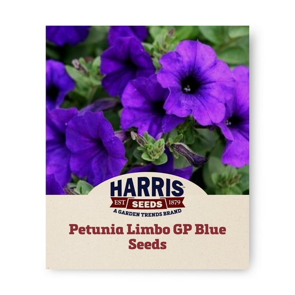 Harris Seeds - Petunia Limbo GP Blue F1 Seeds - Large Flower - 500 Seeds
