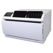 Friedrich WCT10A30A air conditioners|thru-the-wall