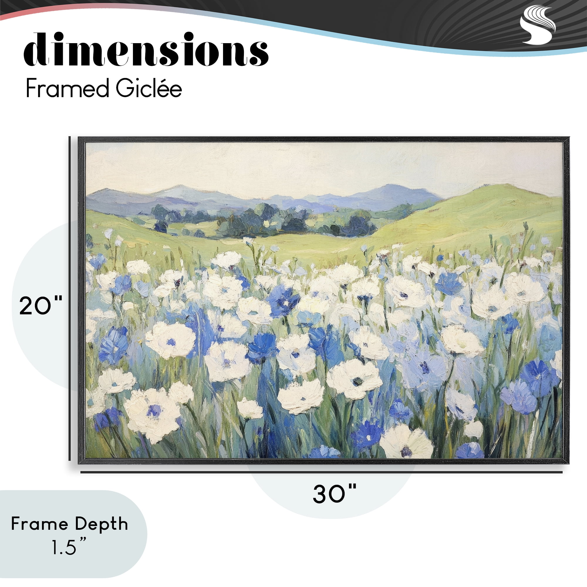 Stupell Industries Blue & White Daisies Black Framed Giclee Art, design by Petal Prints Design