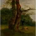 thumbnail image 2 of Jozef Božetech Klemens 15x15 Black Ornate Wood Framed Double Matted Museum Art Print Titled - Study of a Leafy Tree (1860-1870), 2 of 5